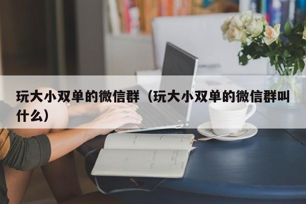 玩大小双单的微信群(玩大小双单的微信群叫什么)