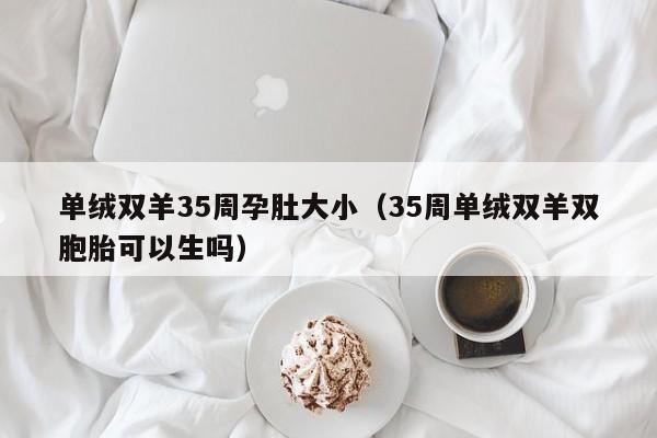 单绒双羊35周孕肚大小(35周单绒双羊双胞胎可以生吗)